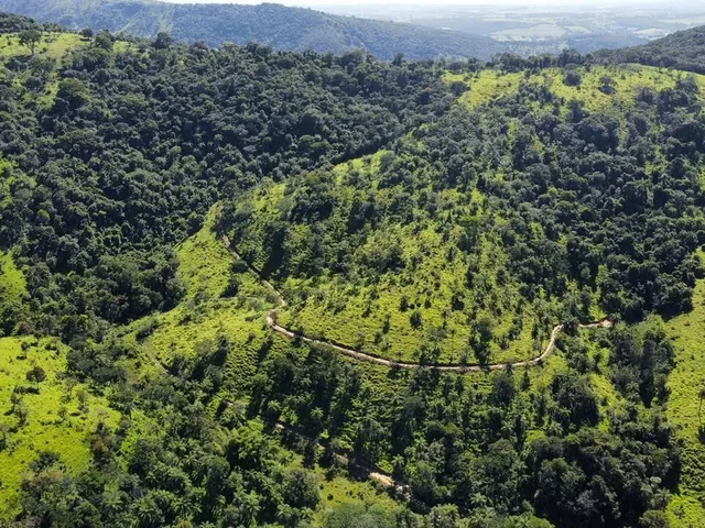 Imagem 15: Fazenda à Venda no Serra Azul em Mateus Leme- MG