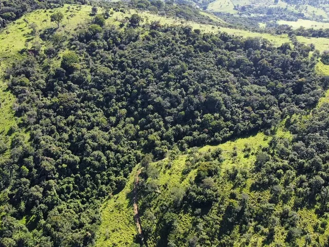 Imagem 8: Fazenda à Venda no Serra Azul em Mateus Leme- MG