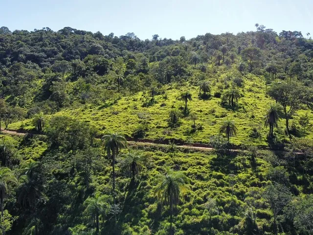 Imagem 7: Fazenda à Venda no Serra Azul em Mateus Leme- MG