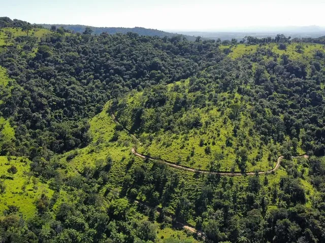 Imagem 16: Fazenda à Venda no Serra Azul em Mateus Leme- MG
