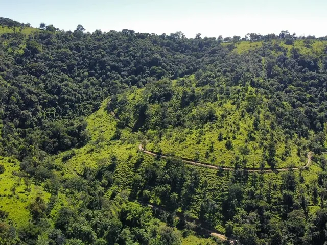 Imagem 3: Fazenda à Venda no Serra Azul em Mateus Leme- MG