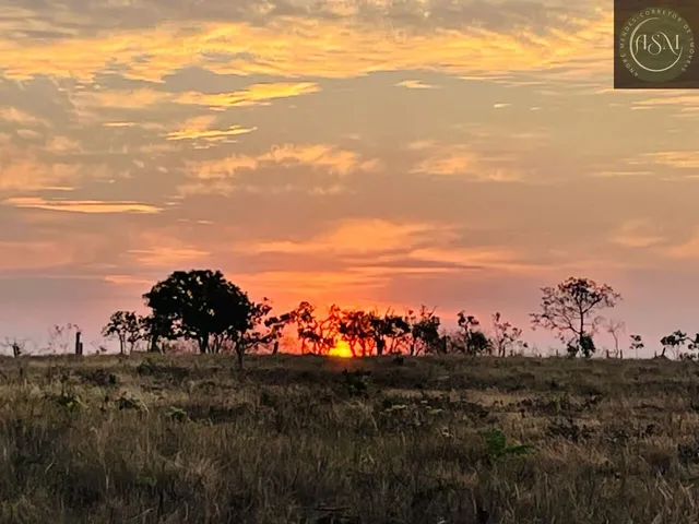 Imagem 6: Fazendinha à Venda no Aconchego da Serra, MG