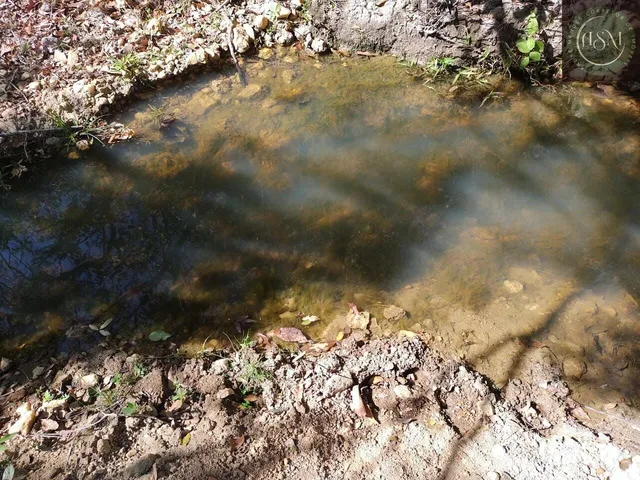 Imagem 11: Fazendinha à Venda no Aconchego da Serra, MG