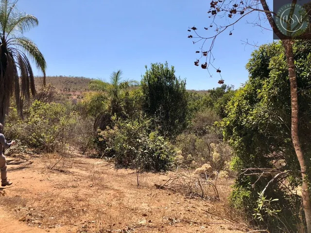 Imagem 4: Fazendinha à Venda no Aconchego da Serra, MG
