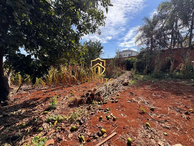 Imagem: Terreno à venda no bairro Caramuru - Patos