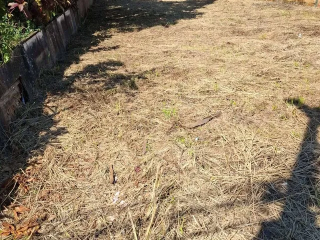 Imagem 5: TERRENO | CENTRO