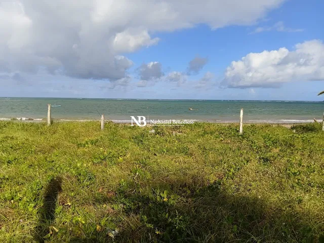 Imagem: Terreno Beira-Mar à Venda na Praia de Tamandaré