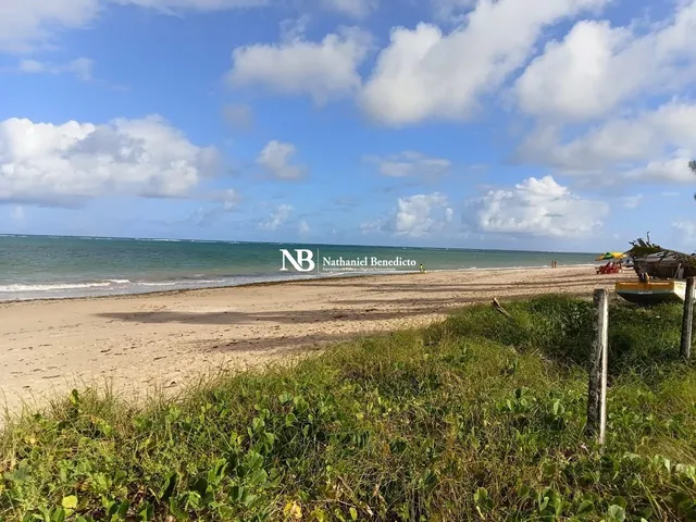 Imagem 4: Terreno Beira-Mar à Venda na Praia de Tamandaré, Litoral Sul de Pernambuco