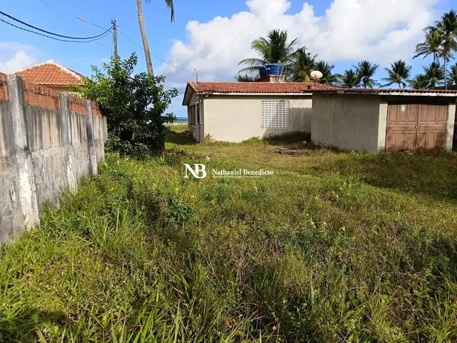 Imagem 3: Terreno Beira-Mar à Venda na Praia de Tamandaré, Litoral Sul de Pernambuco
