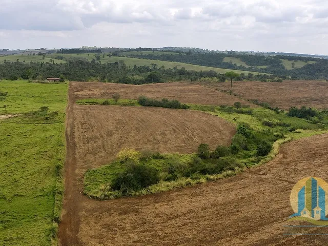 Imagem: ÁREA RURAL PARA INVESTIMENTO E DESENVOLVIMENTO