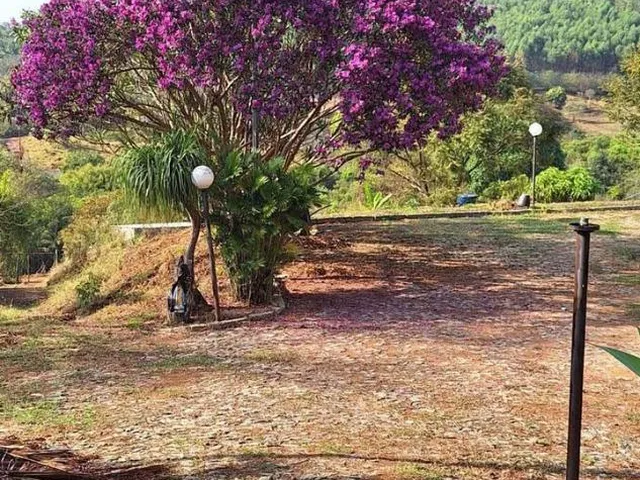 Imagem 16: Otima chácara a venda em Itatiaiuçu/MG , Área com aproximadamente 2.000m²