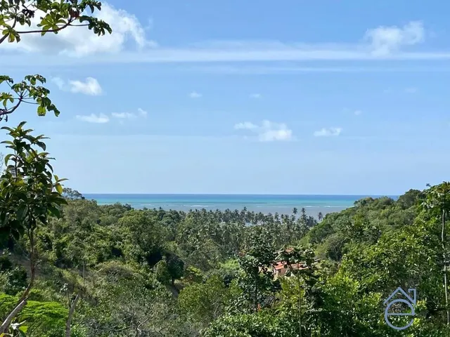 Imagem: Lote à venda no Alto da Barra em Barra
