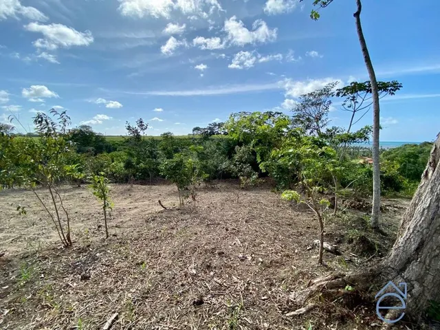 Imagem 4: Lote à venda no Alto da Barra em Barra de Camaragibe, Rota Milagres, 540m2