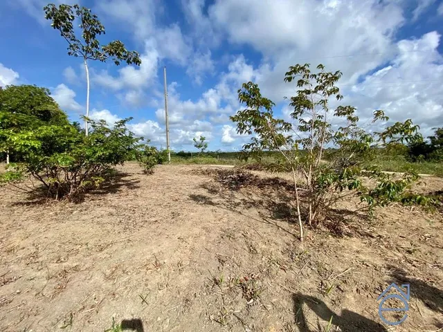Imagem 5: Lote à venda no Alto da Barra em Barra de Camaragibe, Rota Milagres, 540m2