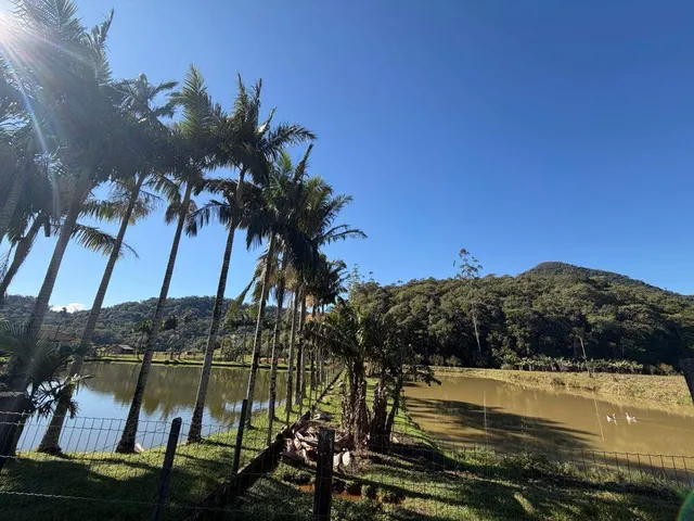 Imagem 2: Terreno com casa em Três Rios do Norte