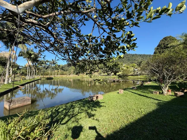 Imagem 12: Terreno com casa em Três Rios do Norte