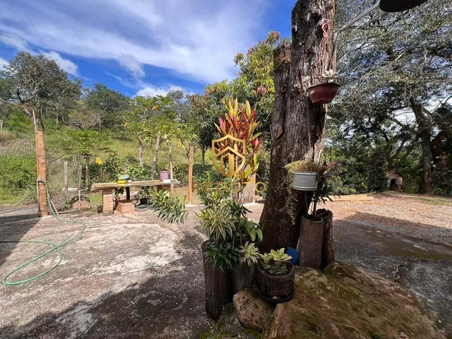 Imagem 7: Sítio Monte Cristo - 10 Km de Patos de Minas