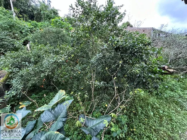 Imagem 6: Casa ampla com 3 dormitórios sendo 1 suite