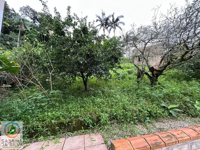 Imagem 11: Casa ampla com 3 dormitórios sendo 1 suite