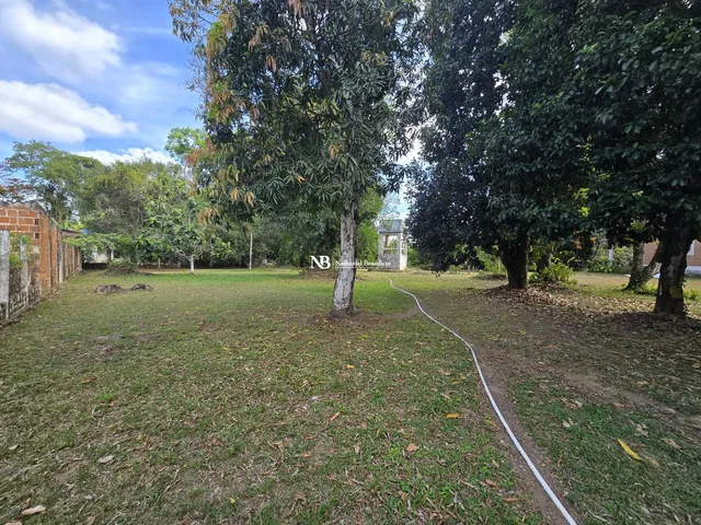 Imagem 11: Casa com 3 Quartos À Venda em Aldeia