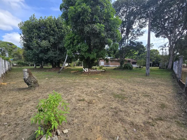 Imagem 2: Casa com 3 Quartos À Venda em Aldeia