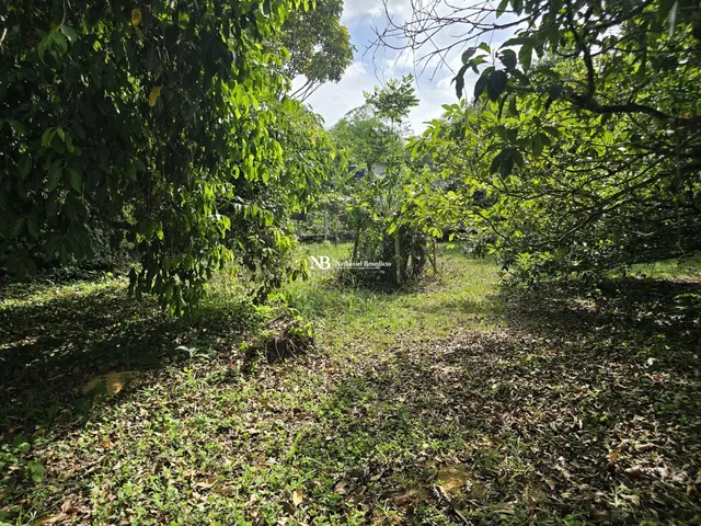 Imagem 4: Casa com 3 Quartos À Venda em Aldeia