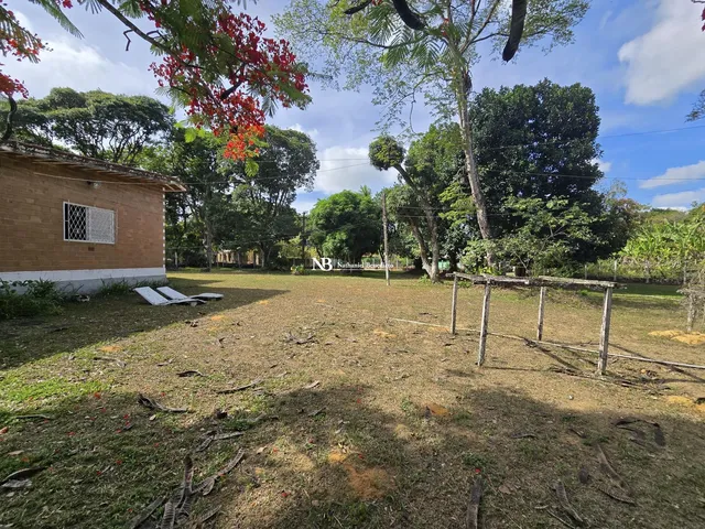 Imagem 9: Casa com 3 Quartos À Venda em Aldeia