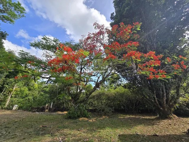 Imagem 10: Casa com 3 Quartos À Venda em Aldeia
