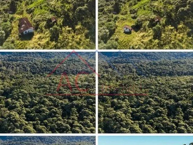 Imagem: AREA - APIAÍ