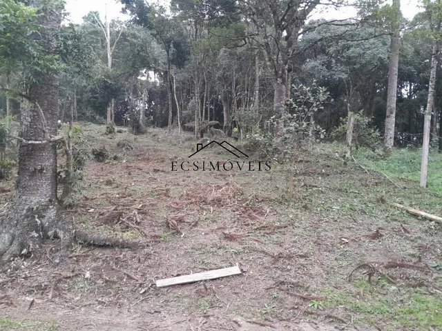 Imagem: CHACARA - MANDIRITUBA