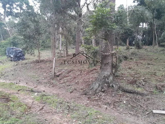 Imagem 6: CHACARA - MANDIRITUBA