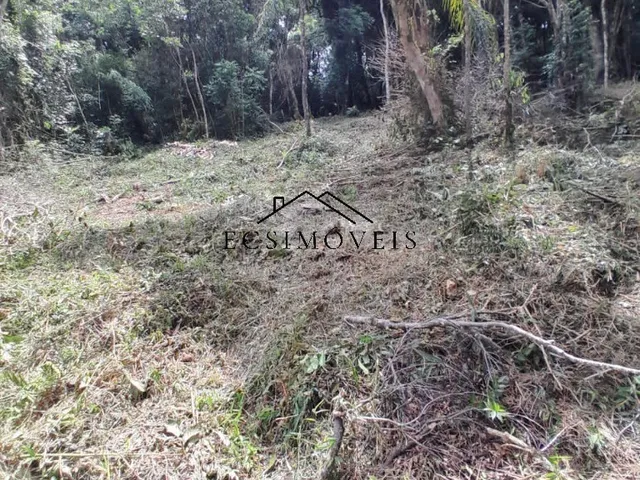 Imagem 5: CHACARA - MANDIRITUBA