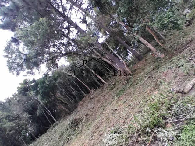 Imagem 8: CHACARA - MANDIRITUBA