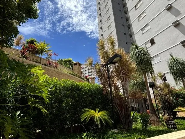 Imagem 13: Apartamento com 2 dormitórios