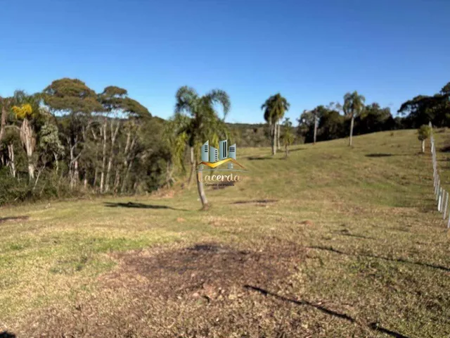 Imagem 1: Área à venda com 20 mil metros em Piraquara