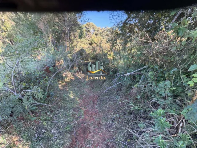 Imagem 2: Área à venda com 20 mil metros em Piraquara