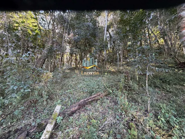 Imagem 10: Área à venda com 20 mil metros em Piraquara