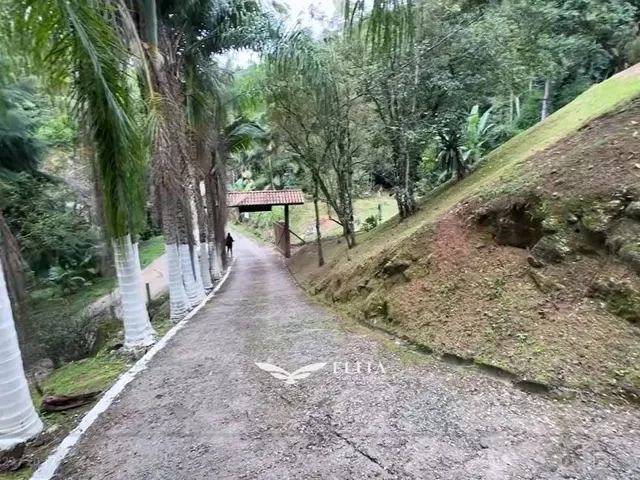 Imagem 8: Lote/Terreno com 4 quartos à Venda, Frederico - Nova Trento