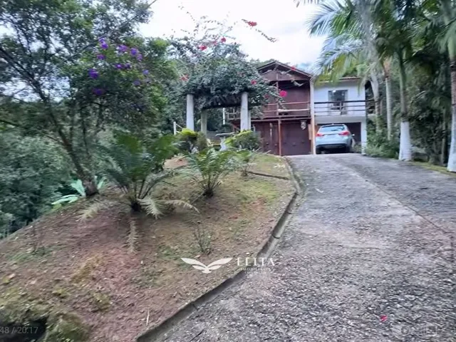 Imagem 6: Lote/Terreno com 4 quartos à Venda, Frederico - Nova Trento