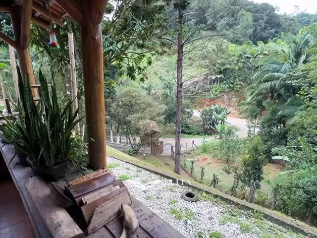 Imagem 11: Lote/Terreno com 4 quartos à Venda, Frederico - Nova Trento