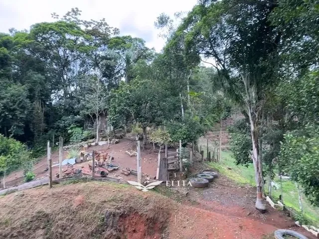 Imagem 12: Lote/Terreno com 4 quartos à Venda, Frederico - Nova Trento