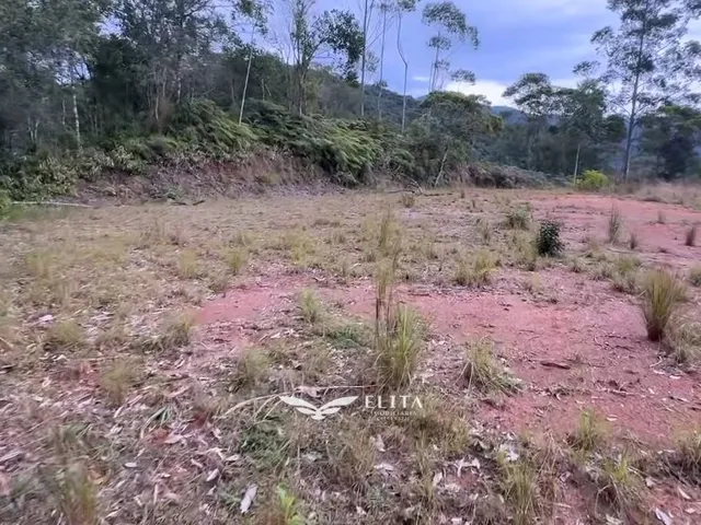 Imagem 10: Lote/Terreno com 4 quartos à Venda, Frederico - Nova Trento
