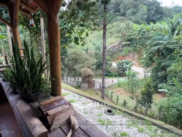 Imagem 4: Lote/Terreno com 4 quartos à Venda, Frederico - Nova Trento