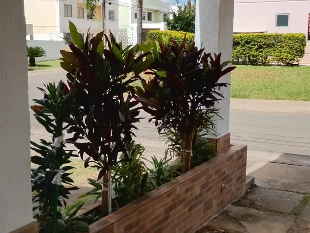 Imagem: Imperdível oportunidade de compra Casa