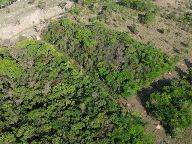 Imagem 12: ? Fazendinhas à Venda em Mateus Leme – MG (OVD