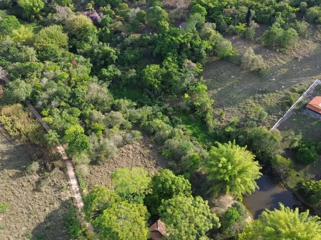 Imagem 4: ? Fazendinhas à Venda em Mateus Leme – MG (OVD