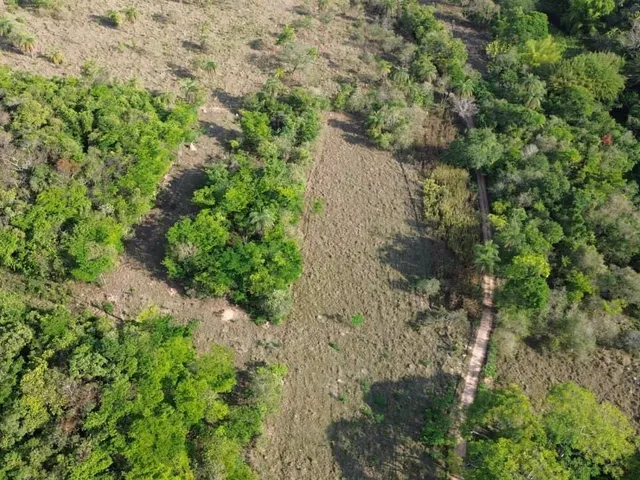 Imagem 10: ? Fazendinhas à Venda em Mateus Leme – MG (OVD