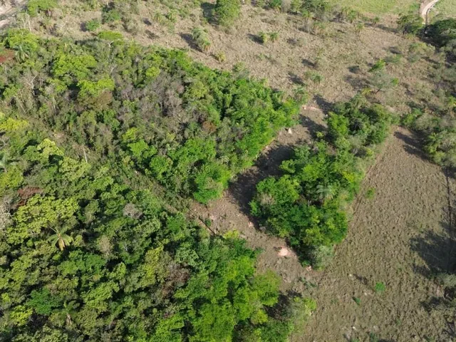Imagem 8: ? Fazendinhas à Venda em Mateus Leme – MG (OVD