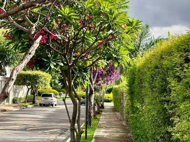 Imagem 3: Casa à venda no bairro Paquetá - Belo Horizonte/MG