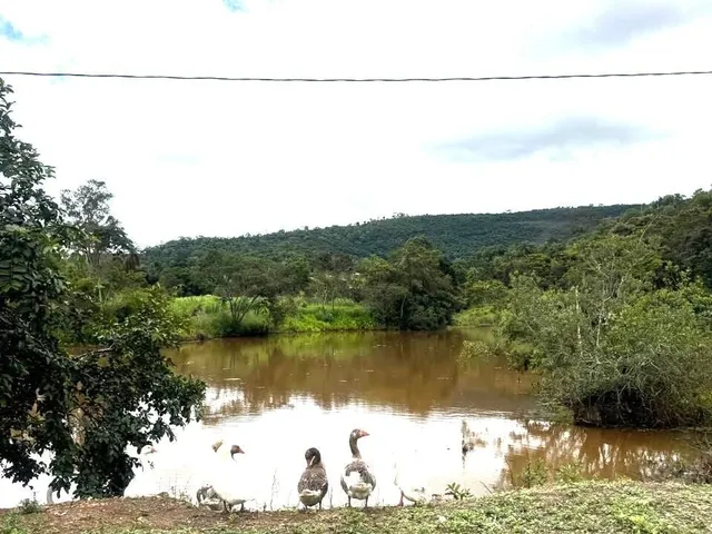 Imagem: Chácaras de 5 mil m2 à Venda em Mateus